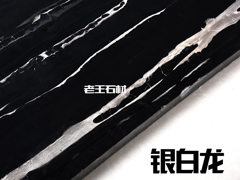 银白龙